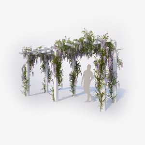 wisteria flowering 01 max