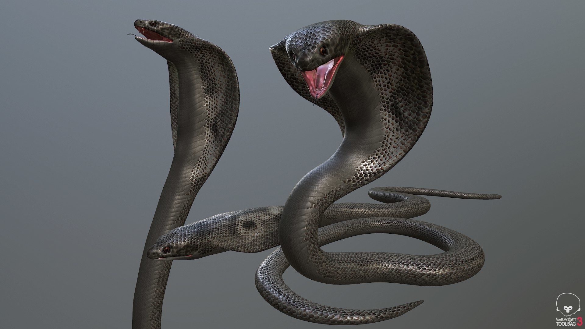 3d hd king cobra snake model