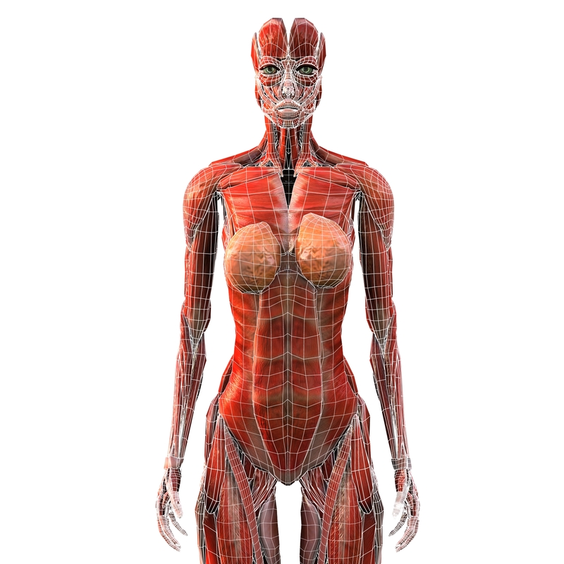 WHAT IS A WOMAN visual data 4