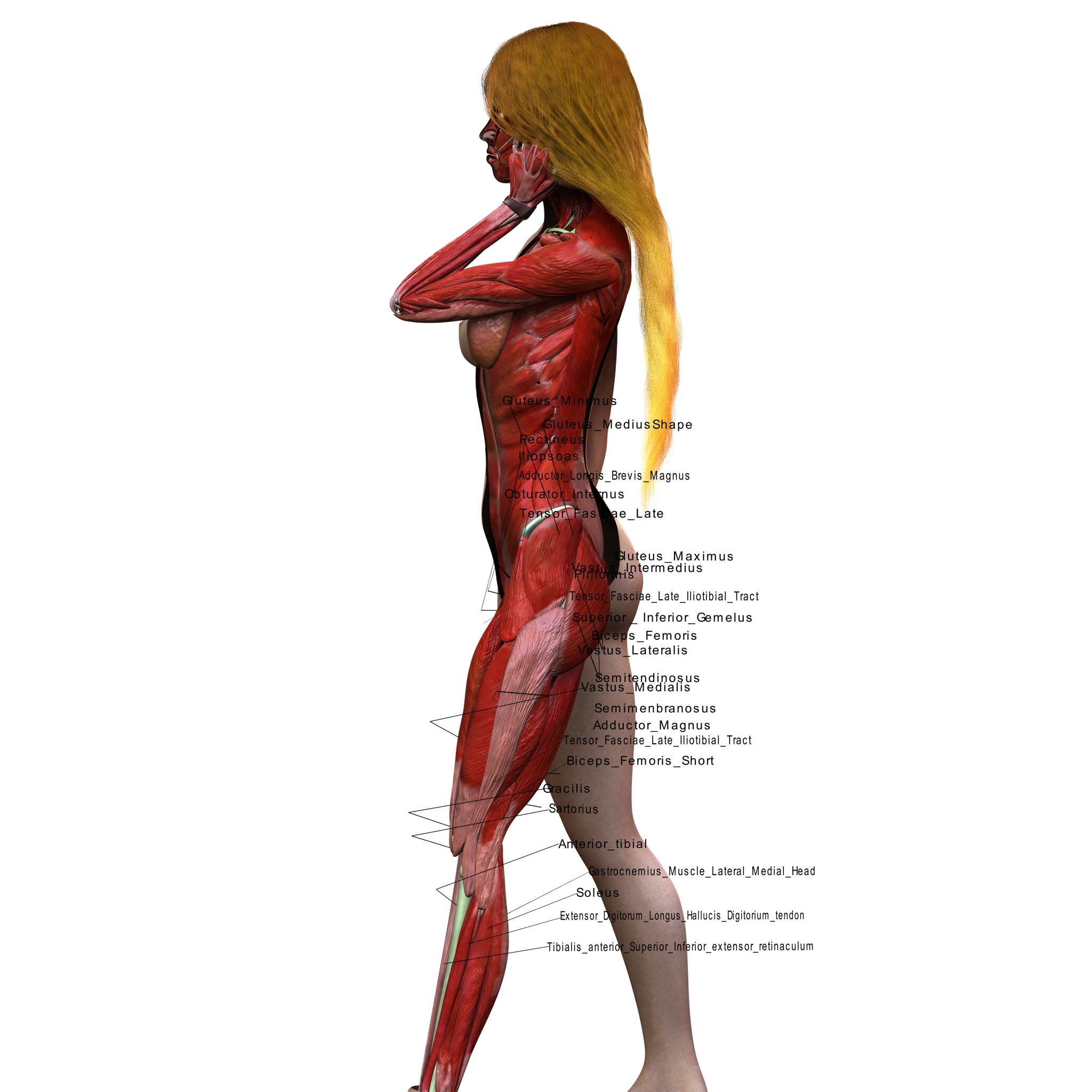 WHAT IS A WOMAN visual data 2