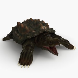 3d alligator turtle animation