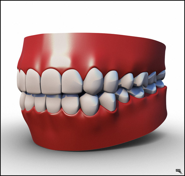 人类的牙齿3d模型