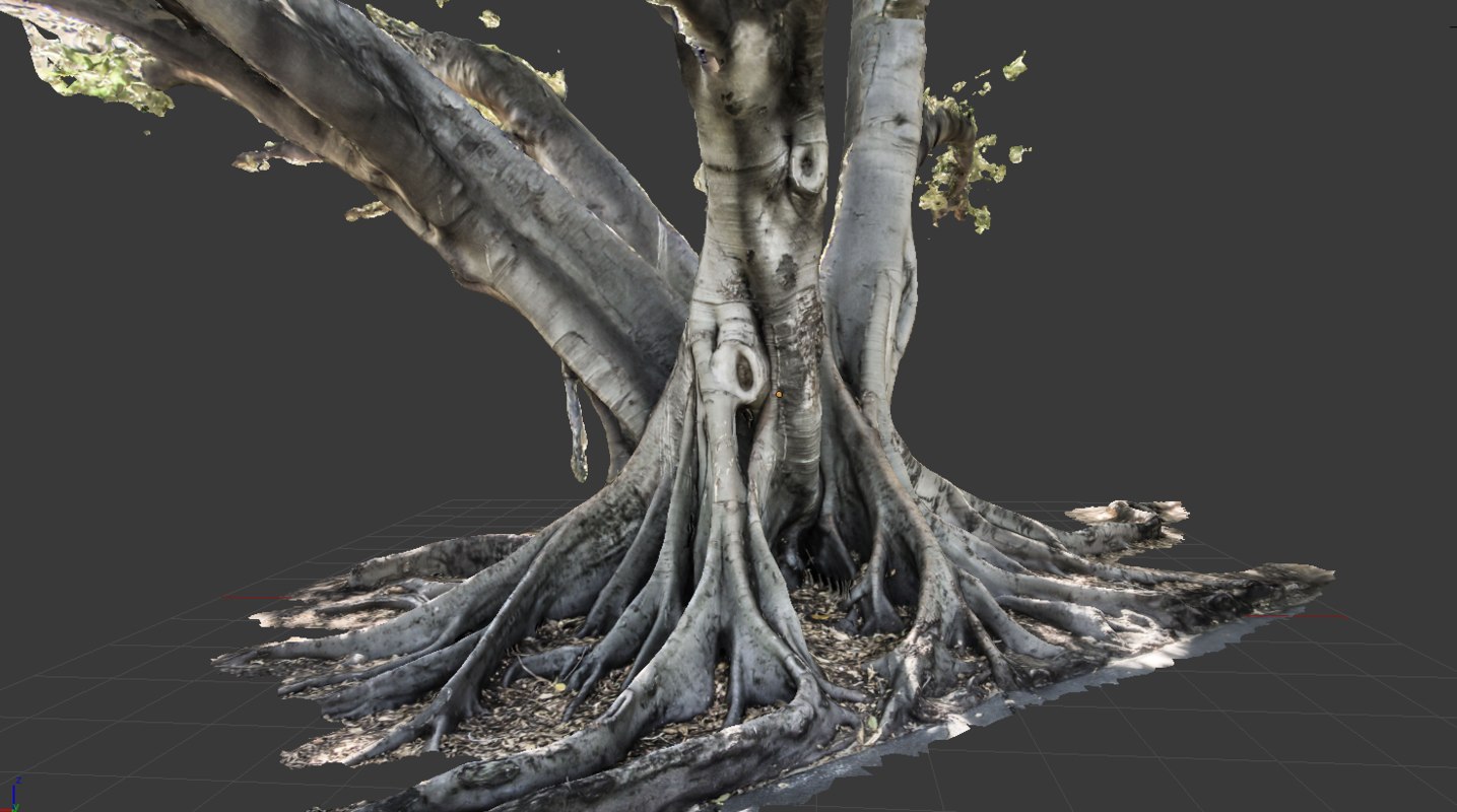 3d model tree  trunk  2