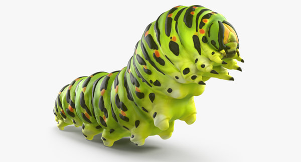 3d caterpillar rigged model