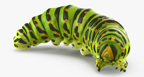 3d caterpillar rigged model