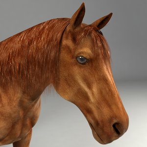 realistical horse rigged 3d ma