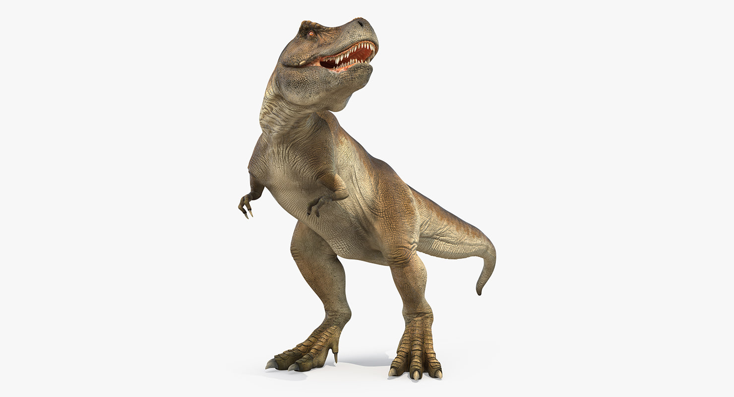 tyrannosaurus rex 3d