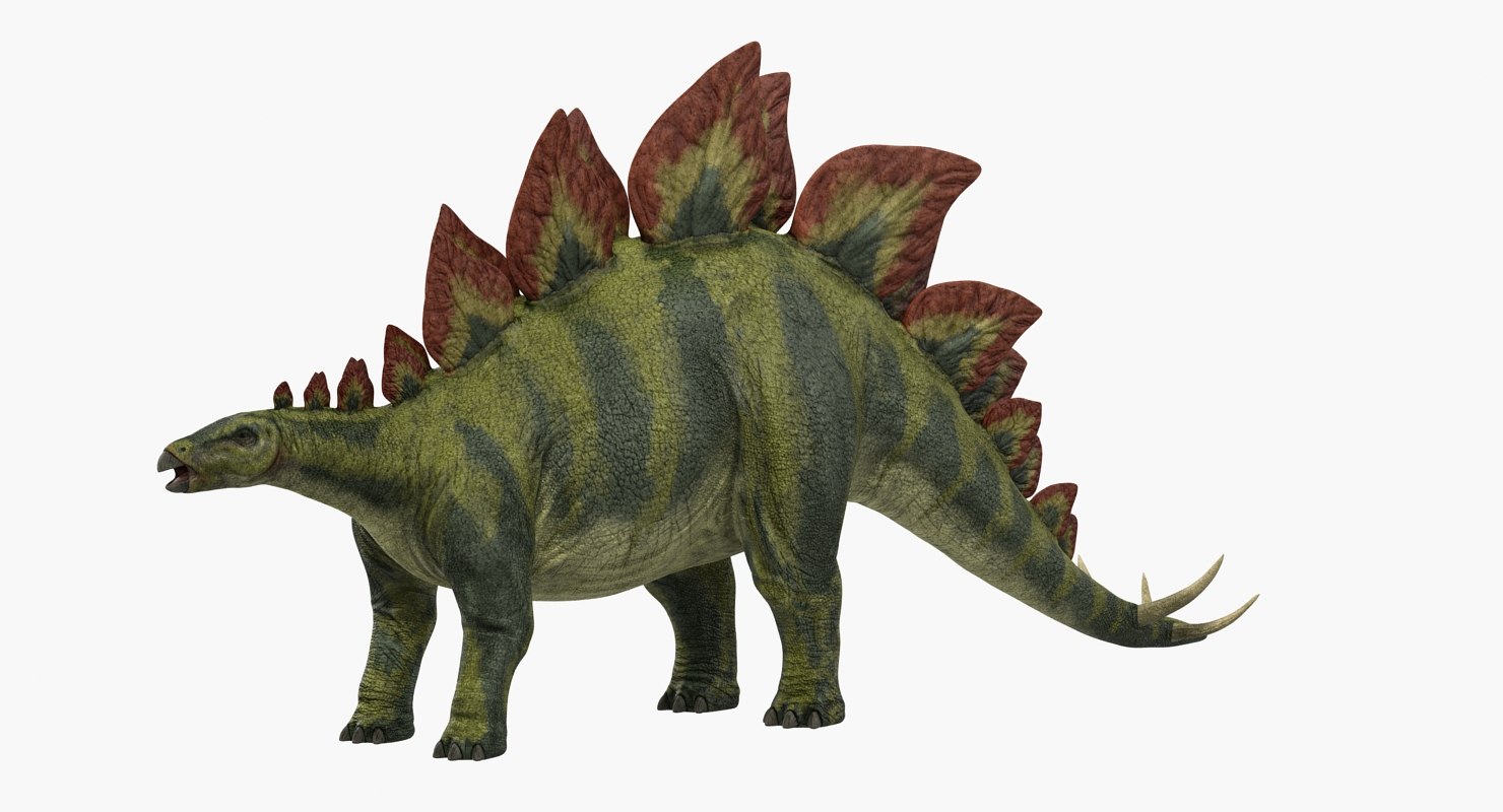stegosaurus 3d google