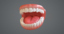 teeth pbr marmoset 3d model