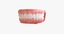 teeth pbr marmoset 3d model