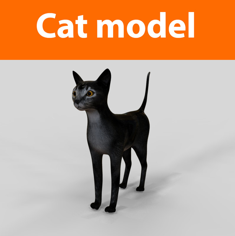  cats  feline 3d  obj 