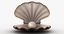 pearl shell 3d max