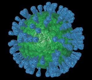 influenza virus flu 3d c4d