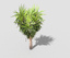 3d model tropical tree