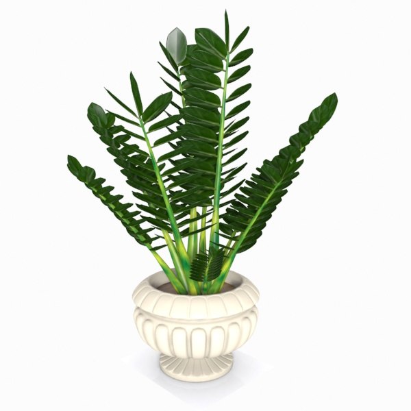 cartoon ornamental plant 3d 3ds