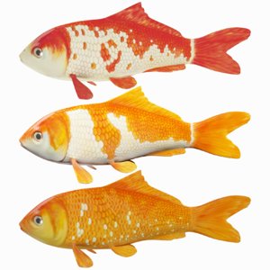 3d model koi fishes