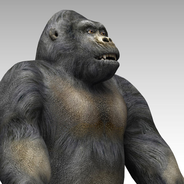 3d gorilla model