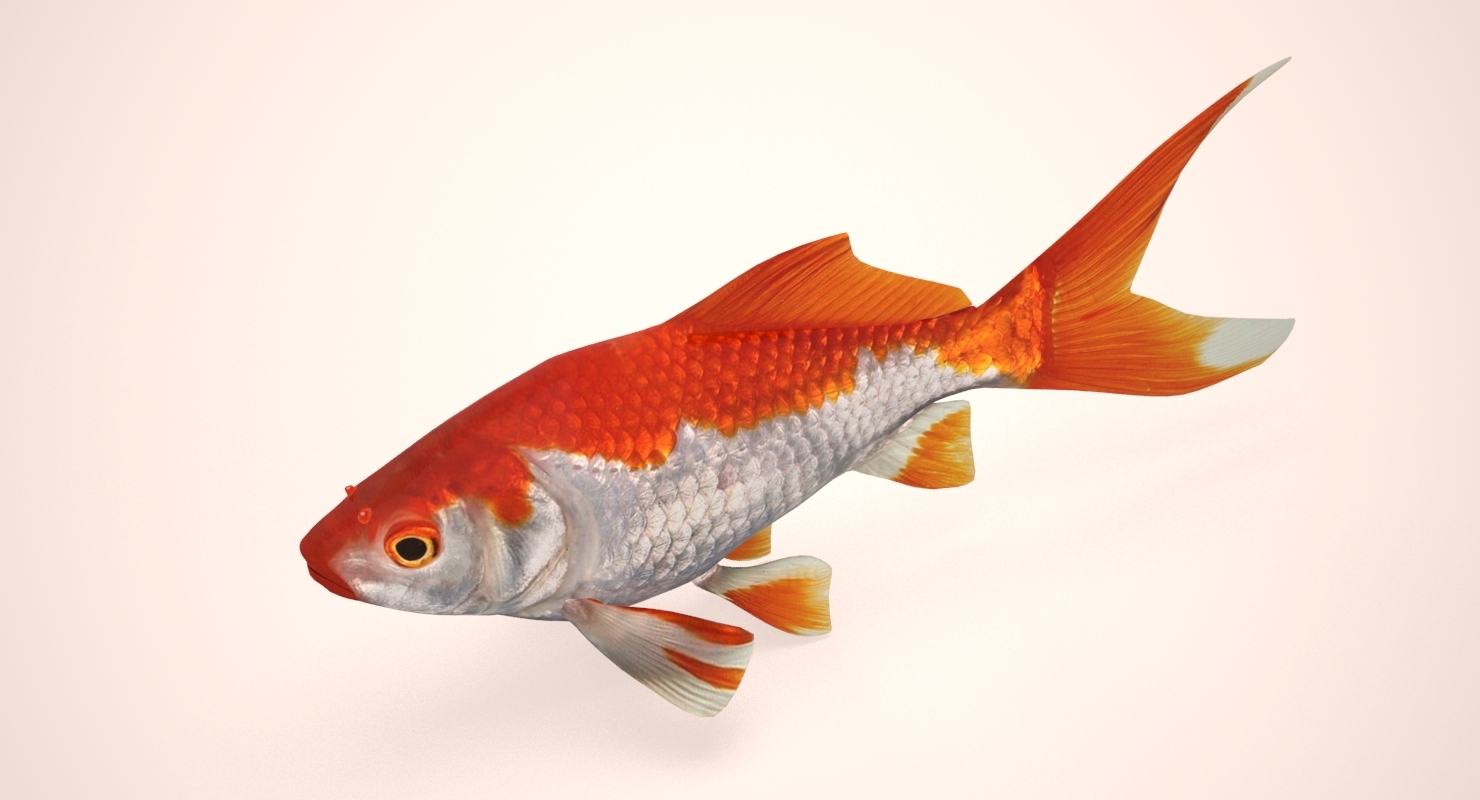 white golden fish 3ds