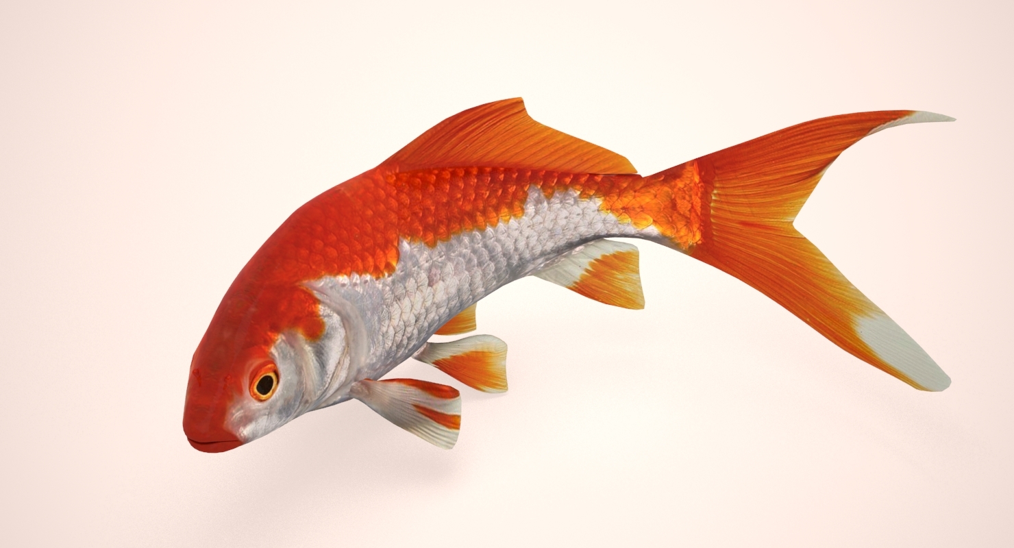 white golden fish 3ds