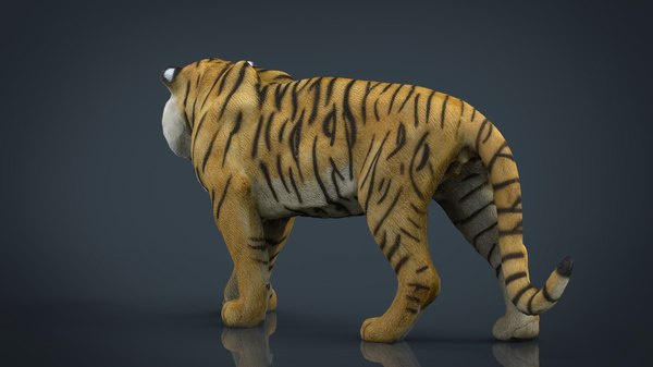 3d tiger stl model