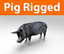 pig rigged 3d max