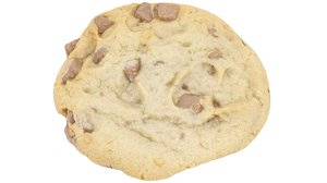 chocolate chip cookie 3d model