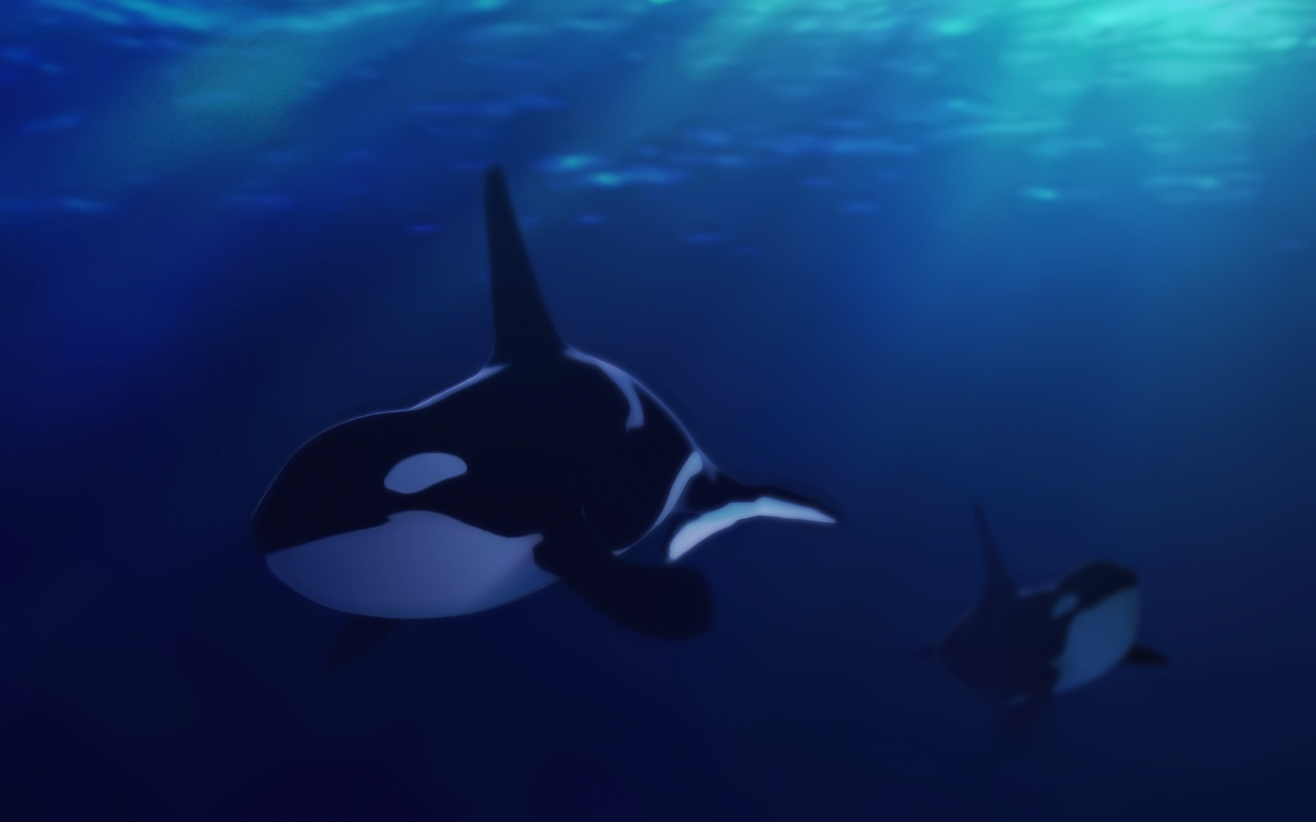 free-c4d-mode-orca-animate