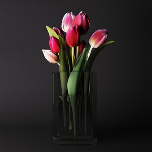 bouquet tulips 3d model