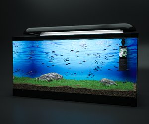 fish tank 3ds