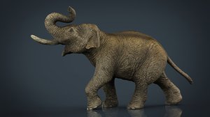 3d asian elephant