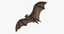 3d fruit bat flying