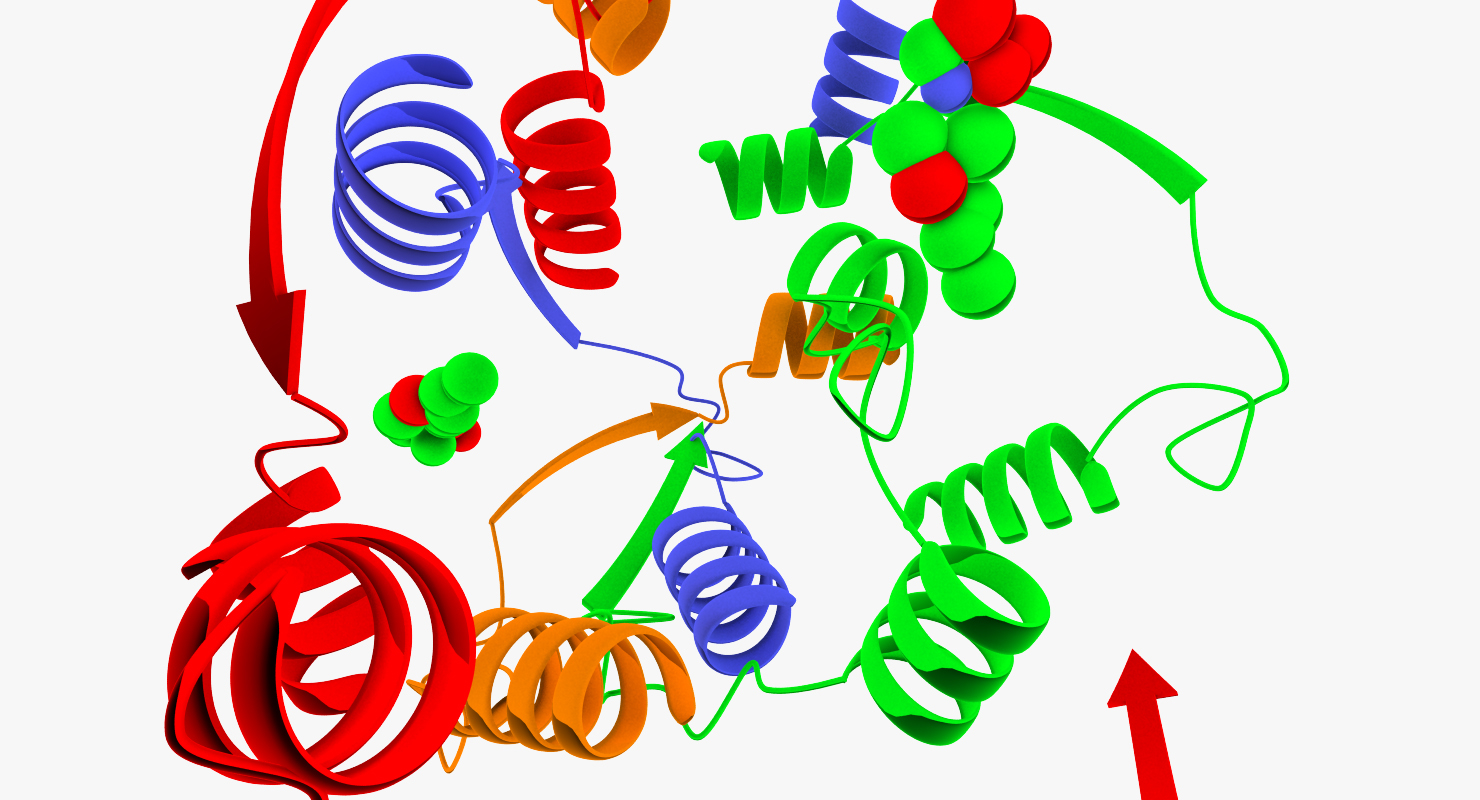 3d animation enzymes model