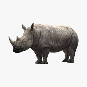 max rhinoceros rhino