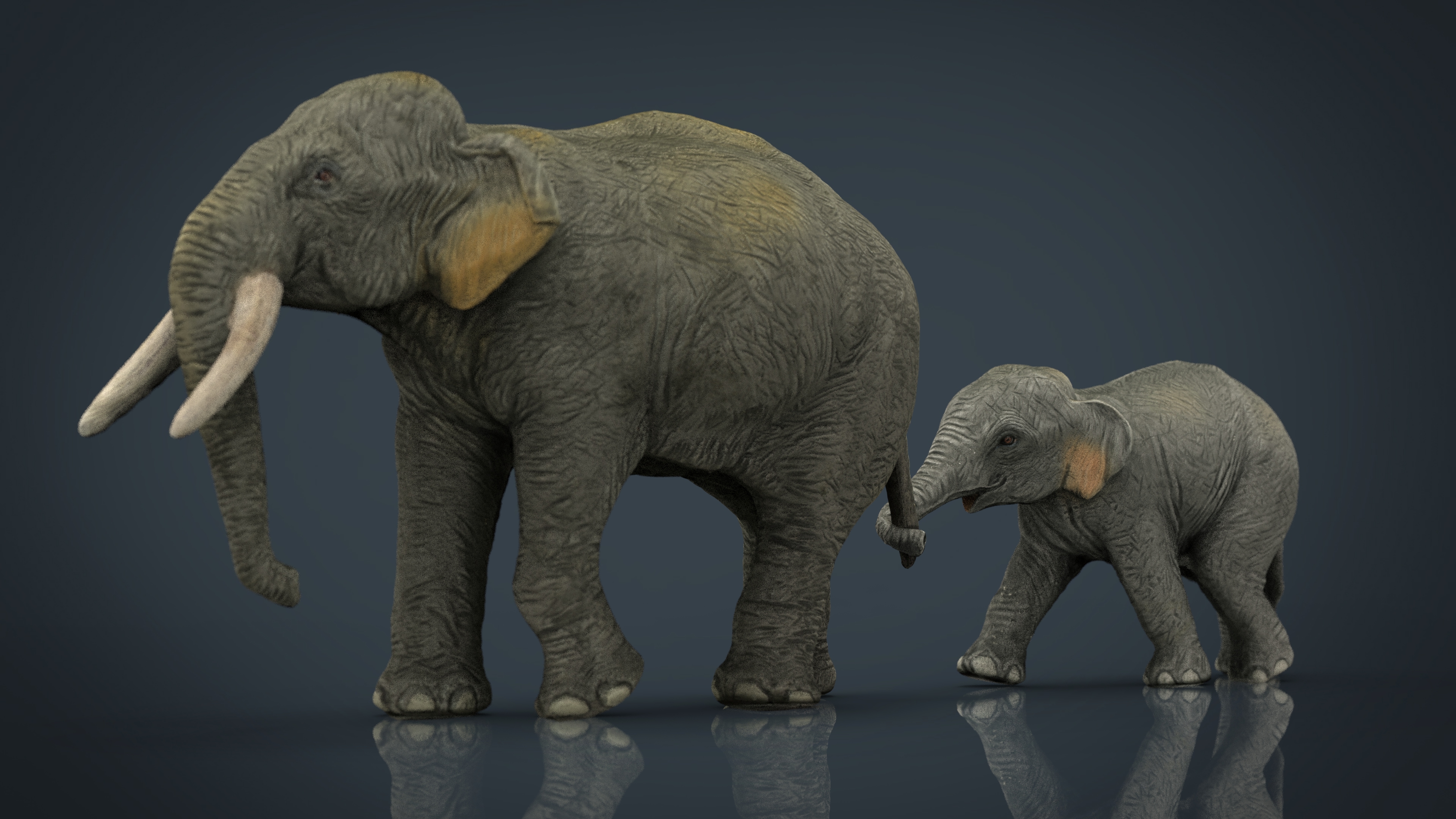asians elephants mother babe 3d model