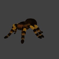 tarantula blend