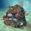 3d coralreef coral reef model