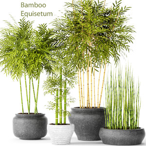 Bamboo 3d Models For Download Turbosquid