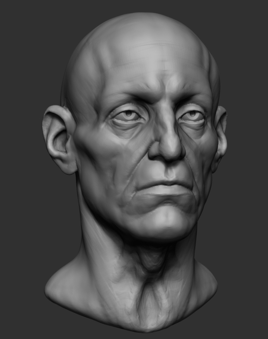 male head base anatomy obj