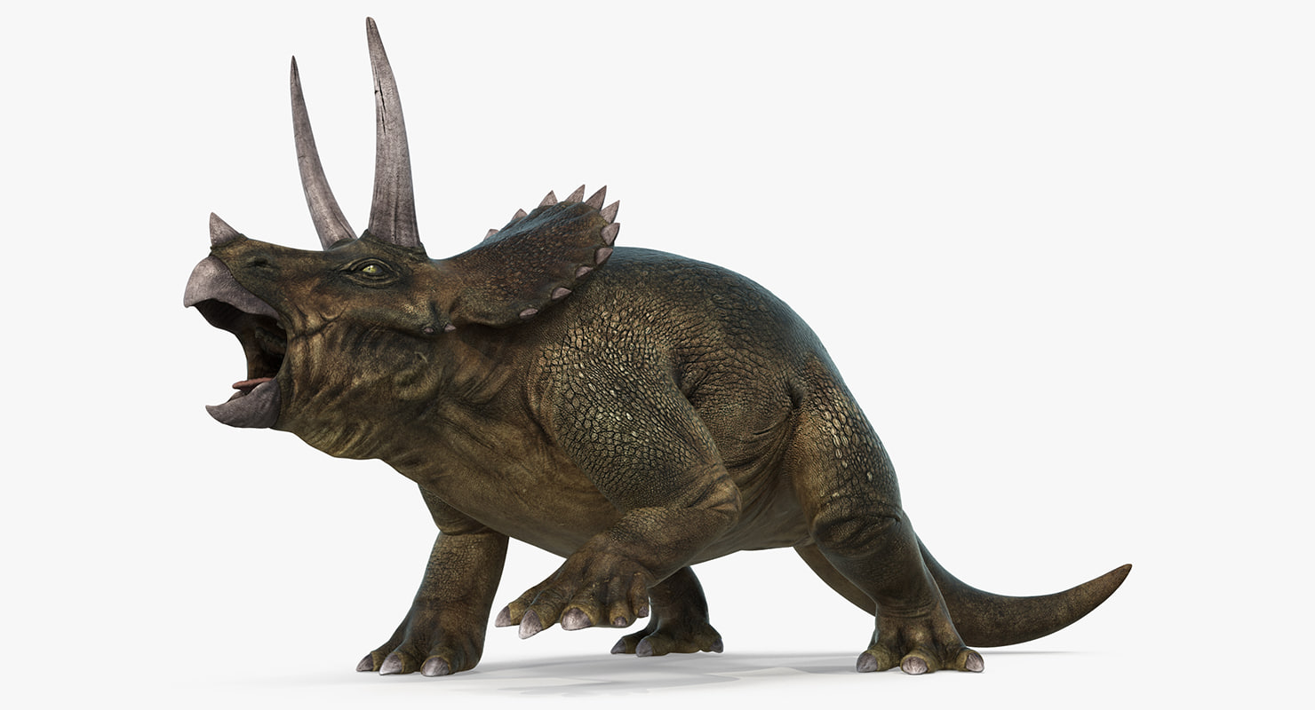 triceratops 33