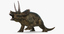 triceratops fighting