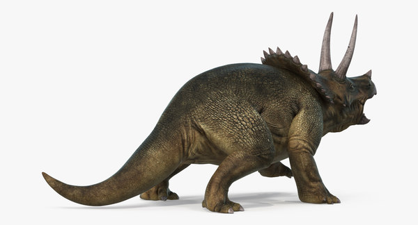 triceratops fighting