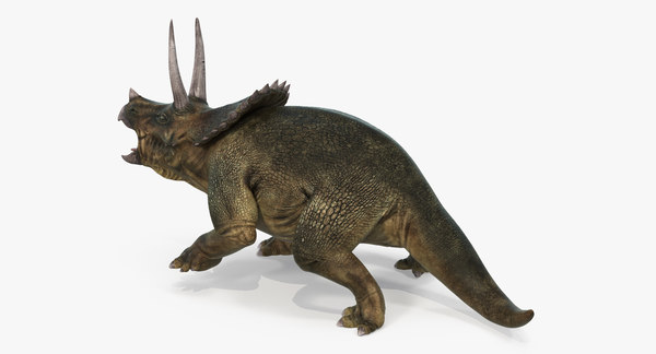 triceratops fighting