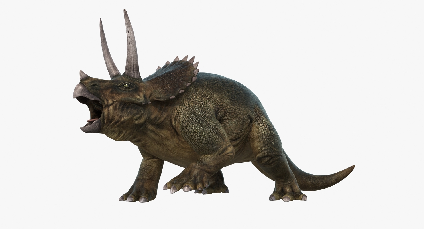 triceratops fighting