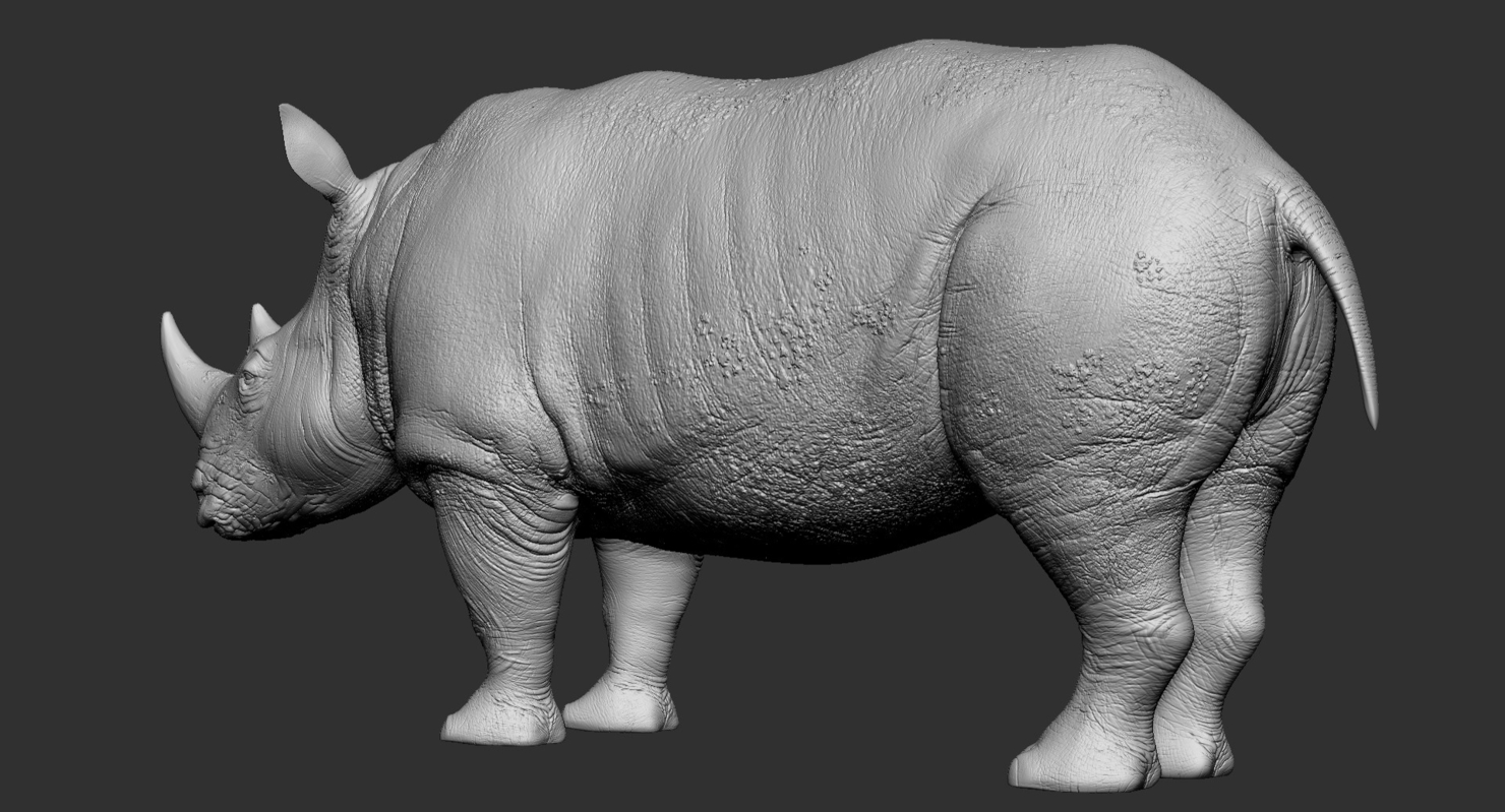 3d model rhino rigged