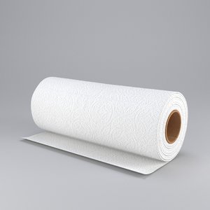 3d paper towel model