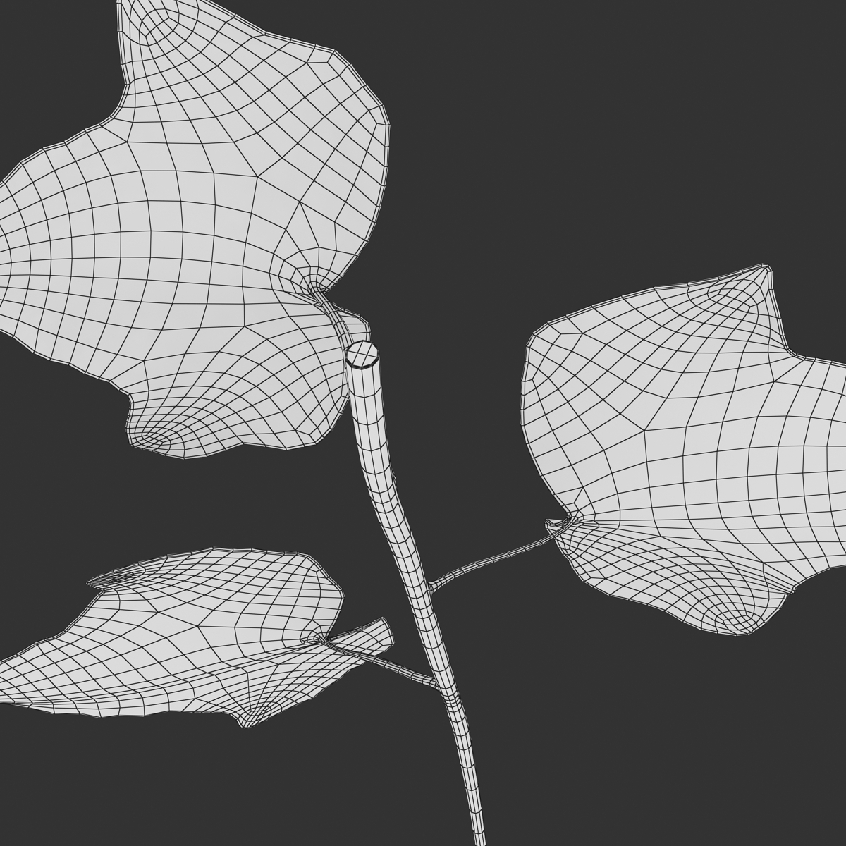 双向叶子编织3D效果图片