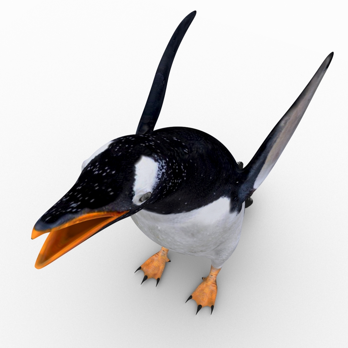 gentoo企鹅3d模型