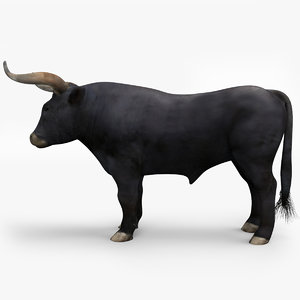 aurochs bull obj
