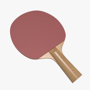 3d ping-pong paddle