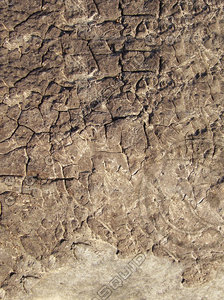 wall texture